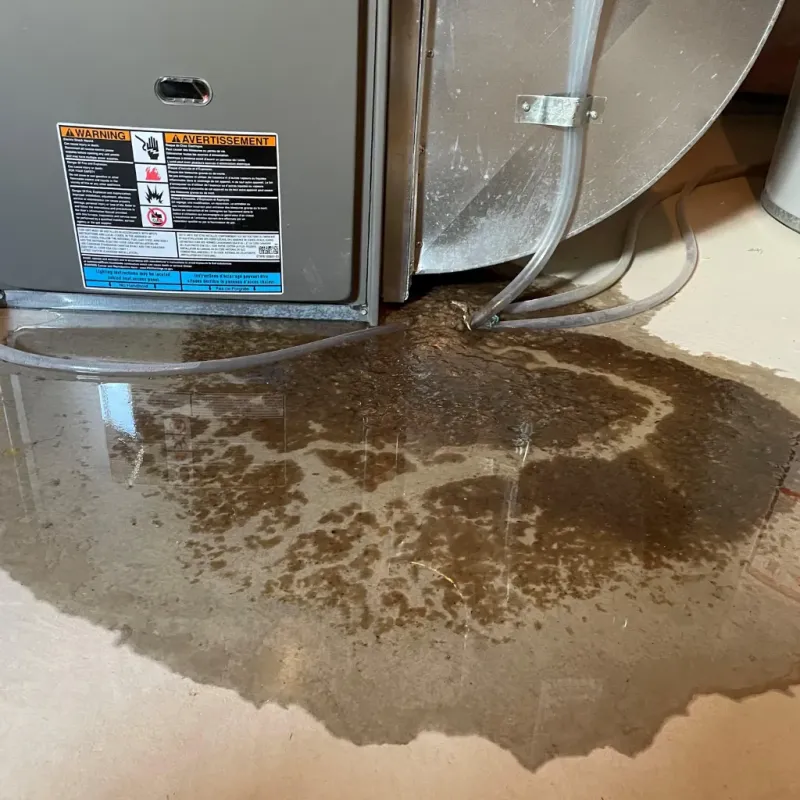 Appliance Leak Cleanup in Farmers Branch, TX